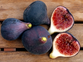 Fig tree in my terrace August 2006